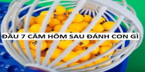 Đầu 7 câm đánh số mấy